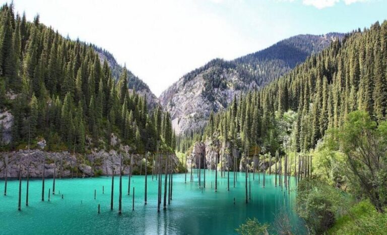 The sunken forest in Kazakhstan