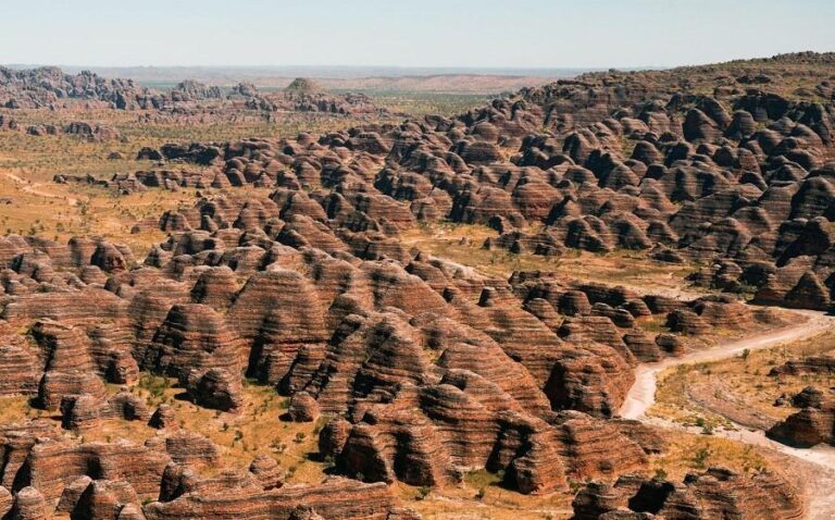 Australian National Park and its huge honey bee domes!