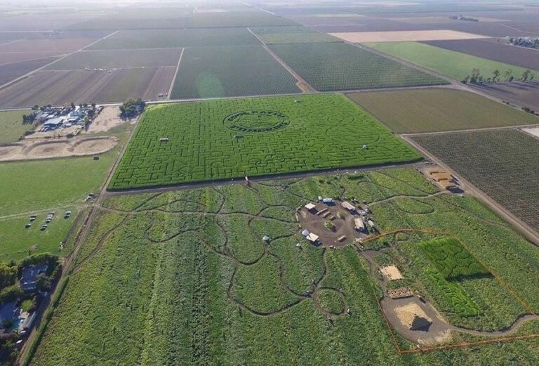 The Strangest Labyrinth Farms in the World Made for Adults!